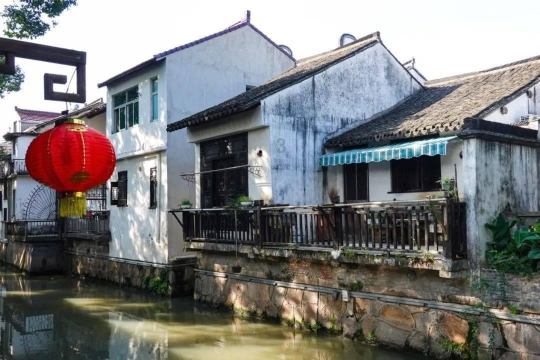 探秘山药有什么做法,解答你的疑问